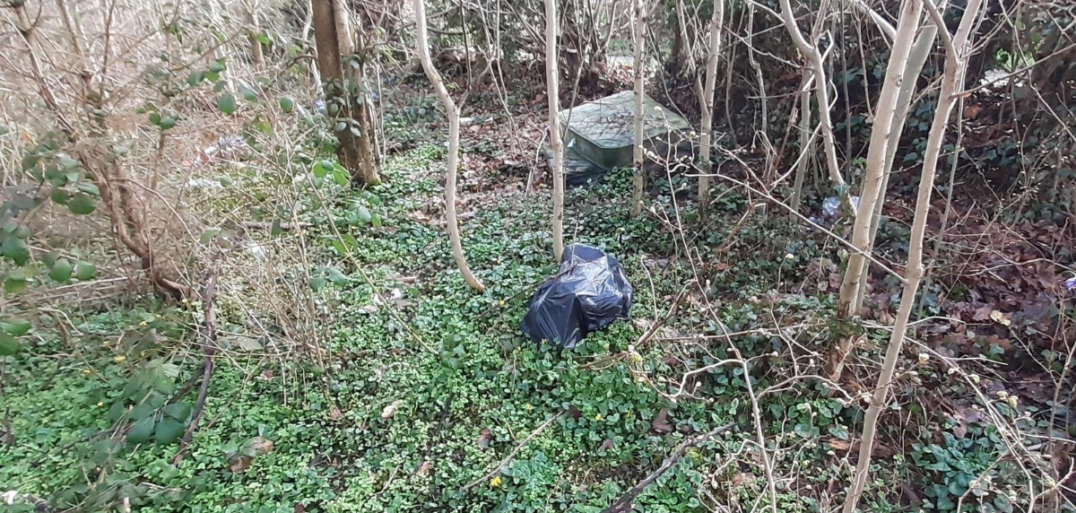 The image for Fly tipper fined