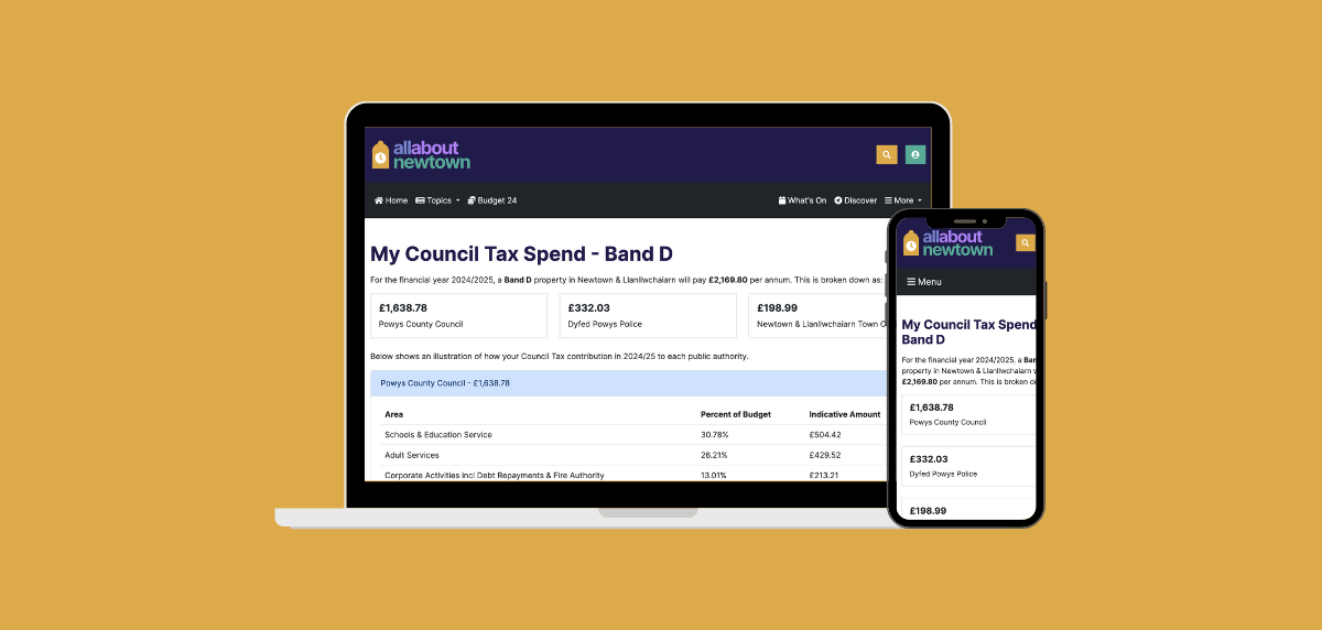 The image for Try our new Council Tax spend tool