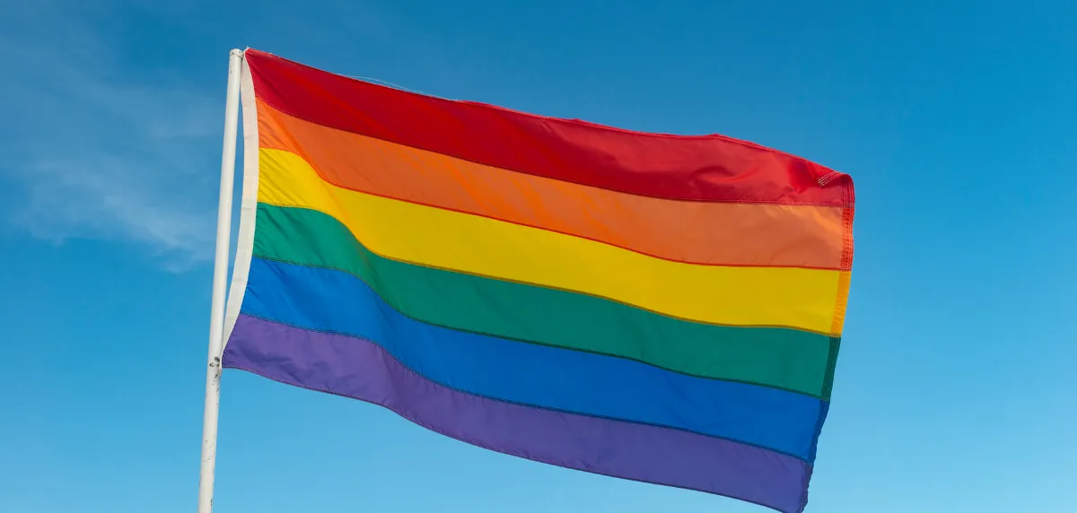 The image for Councillors to consider Pride event proposal
