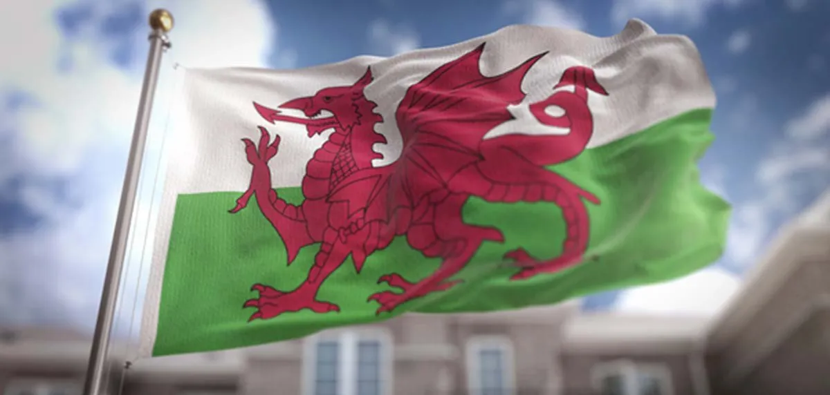 The image for Newtown pupils to be nearer to new Welsh medium secondary education